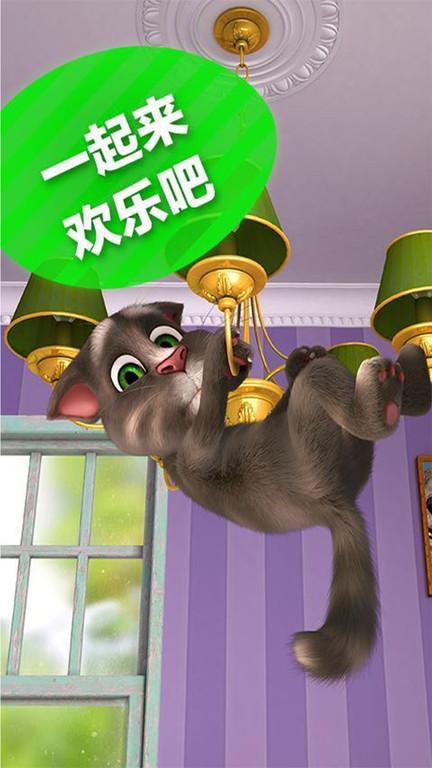 会说话的汤姆猫1原版下载,会说话的汤姆猫,汤姆猫,猫咪游戏
